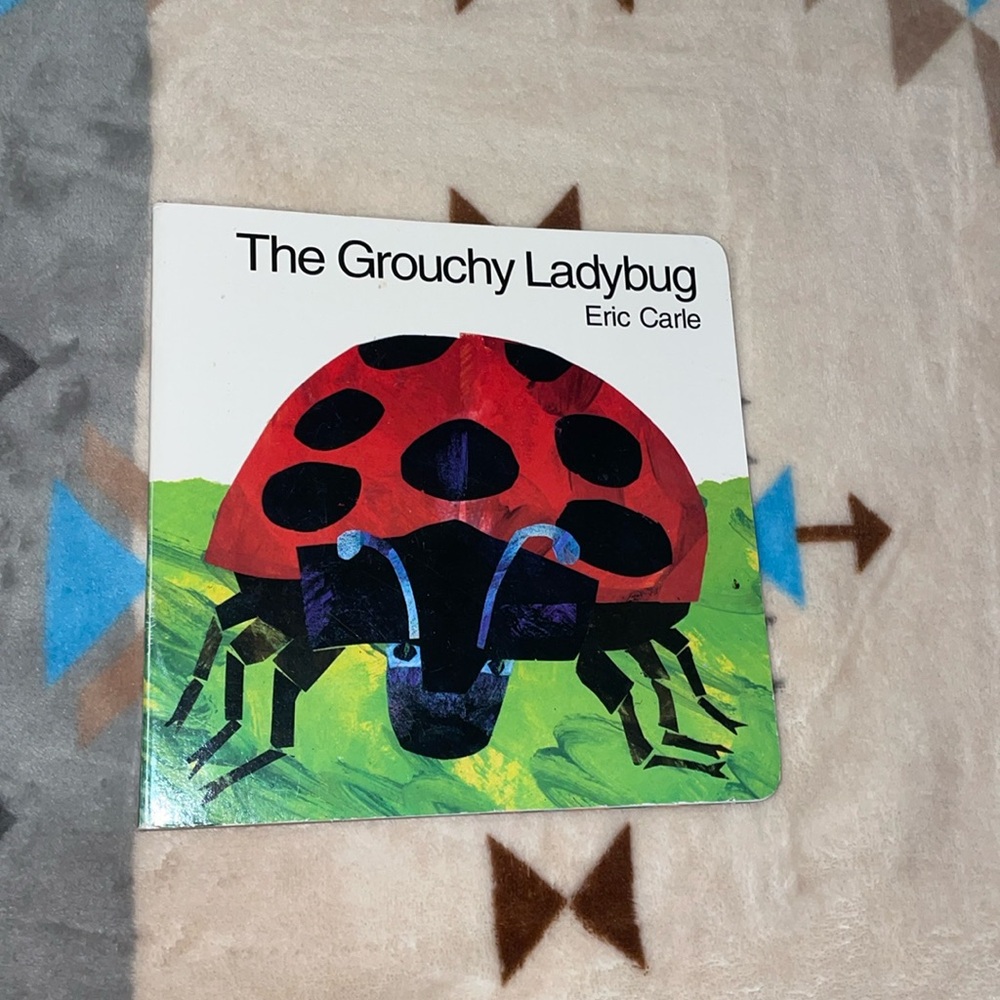 Ladybug Book